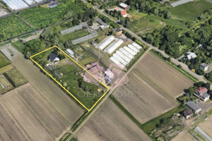 Działka na sprzedaż 5346m2 Gdańsk Olszynka Łanowa - zdjęcie 2