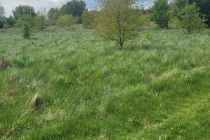 Działka na sprzedaż 1000m2 zgierski Zgierz Skotniki - zdjęcie 3