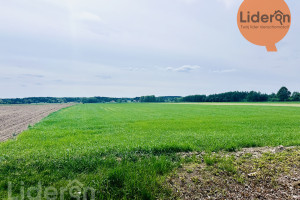 Działka na sprzedaż zduńskowolski Szadek Przatów Dolny - zdjęcie 2