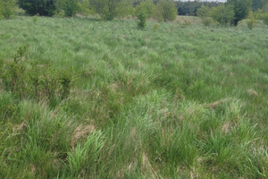 Działka na sprzedaż 1000m2 zgierski Zgierz Skotniki - zdjęcie 4