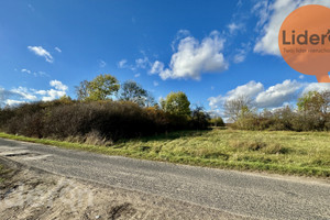 Działka na sprzedaż 3900m2 łęczycki Daszyna Jarochów - zdjęcie 2