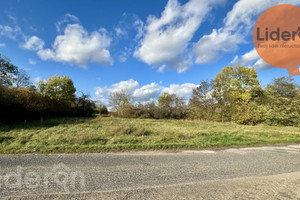 Działka na sprzedaż 3900m2 łęczycki Daszyna Jarochów - zdjęcie 1