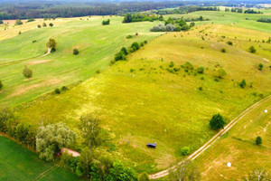 Działka na sprzedaż 3502m2 giżycki Wydminy Wężówka - zdjęcie 2