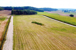 Działka na sprzedaż 1004m2 giżycki Miłki Rydzewo - zdjęcie 3