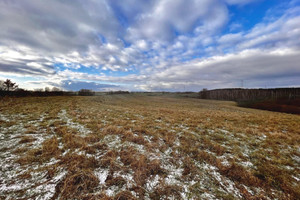 Działka na sprzedaż 3134m2 olsztyński Barczewo Skajboty - zdjęcie 3