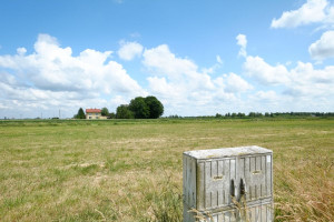 Działka na sprzedaż 3000m2 warszawski zachodni Kampinos Podkampinos - zdjęcie 2