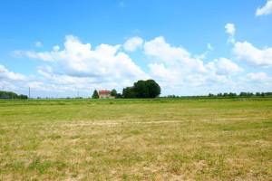 Działka na sprzedaż 3000m2 warszawski zachodni Kampinos Podkampinos - zdjęcie 1