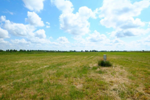 Działka na sprzedaż 6000m2 warszawski zachodni Kampinos Podkampinos - zdjęcie 3