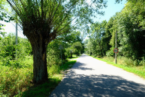 Działka na sprzedaż 11751m2 warszawski zachodni Kampinos - zdjęcie 3