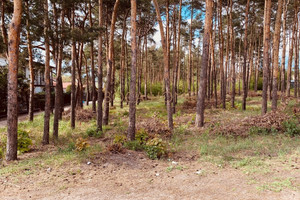 Działka na sprzedaż 2000m2 Warszawa Wawer Międzylesie - zdjęcie 1