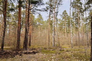 Działka na sprzedaż Warszawa Wawer Radość - zdjęcie 3