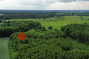 Działka na sprzedaż 3188m2 olsztyński Dywity Rozgity - zdjęcie 1