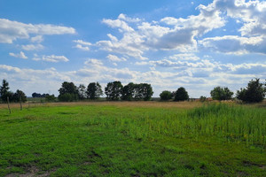 Działka na sprzedaż 20000m2 tarnogórski Zbrosławice Łubki - zdjęcie 3