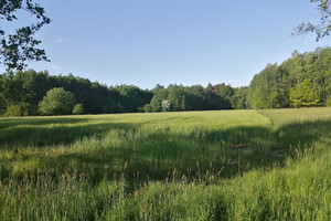 Działka na sprzedaż 4300m2 myszkowski Koziegłowy Siedlec Mały - zdjęcie 1