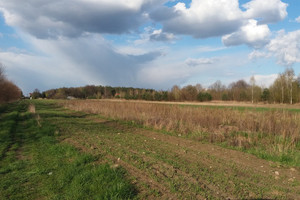 Działka na sprzedaż legionowski Serock Borowa Góra - zdjęcie 2