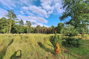 Działka na sprzedaż 12008m2 tarnogórski Tworóg Boruszowice - zdjęcie 2