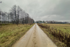 Działka na sprzedaż siedlecki Kotuń Sosnowe - zdjęcie 3