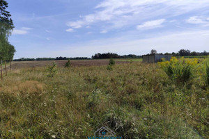 Działka na sprzedaż 1717m2 zgierski Zgierz Lorenki - zdjęcie 3