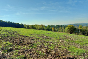 Działka na sprzedaż 1600m2 cieszyński Cieszyn - zdjęcie 1