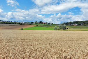 Działka na sprzedaż 19335m2 cieszyński Dębowiec Ogrodzona - zdjęcie 4