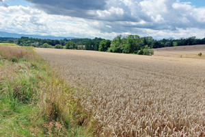 Działka na sprzedaż 19335m2 cieszyński Dębowiec Ogrodzona - zdjęcie 1