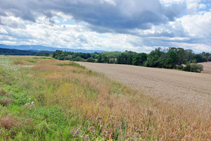 Działka na sprzedaż 19335m2 cieszyński Dębowiec Ogrodzona - zdjęcie 2