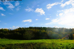 Działka na sprzedaż 2380m2 krakowski Mogilany Konary - zdjęcie 3