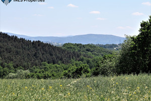 Działka na sprzedaż 11500m2 krakowski Świątniki Górne - zdjęcie 2