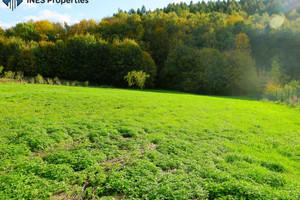 Działka na sprzedaż 2380m2 krakowski Mogilany Konary - zdjęcie 2