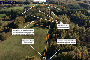 Działka na sprzedaż 20000m2 gdański Przywidz - zdjęcie 1