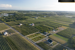 Działka na sprzedaż 2524m2 grójecki Belsk Duży Lewiczyn - zdjęcie 2