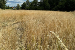 Działka na sprzedaż Mysłowice Kosztowy Andrzeja Zielnioka - zdjęcie 1