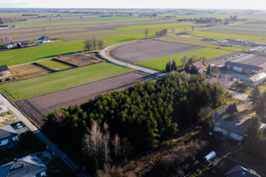 Działka na sprzedaż lubelski Niemce Wola Krasienińska - zdjęcie 1