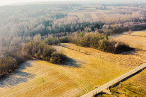 Działka na sprzedaż 10500m2 puławski Kazimierz Dolny Rzeczyca - zdjęcie 2