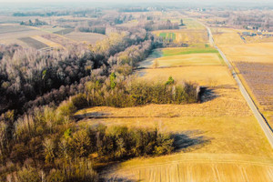 Działka na sprzedaż 10500m2 puławski Kazimierz Dolny Rzeczyca - zdjęcie 3