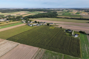 Działka na sprzedaż 1000m2 lubelski Strzyżewice Polanówka - zdjęcie 2