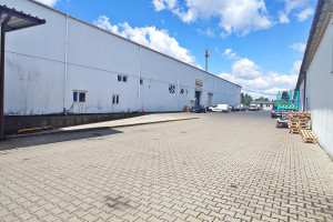 Komercyjne do wynajęcia 650m2 pruszkowski Michałowice Reguły - zdjęcie 3