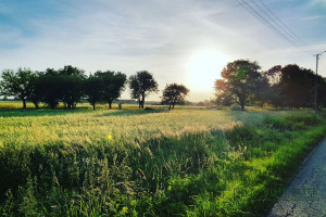 Działka na sprzedaż 250000m2 choszczeński Choszczno Gleźno - zdjęcie 1