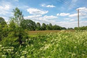 Działka na sprzedaż 293733m2 wołomiński Wołomin - zdjęcie 1