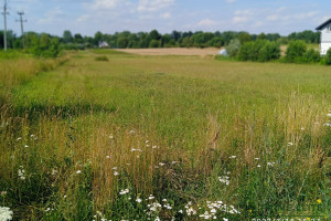 Działka na sprzedaż 9810m2 miński Mińsk Mazowiecki Janów - zdjęcie 1