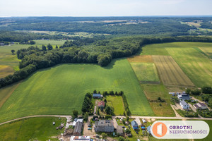 Działka na sprzedaż 3700m2 pucki Krokowa Lisewo Leśna - zdjęcie 3