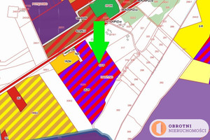 Działka na sprzedaż 57700m2 słupski Potęgowo Darżyno - zdjęcie 1