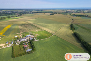 Działka na sprzedaż 3700m2 pucki Krokowa Lisewo Leśna - zdjęcie 1