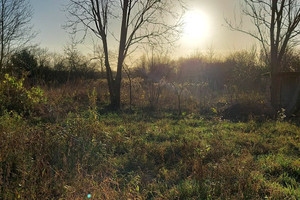 Działka na sprzedaż piaseczyński Prażmów Uwieliny - zdjęcie 3