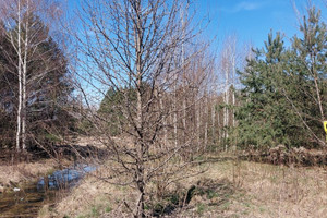 Działka na sprzedaż 4895m2 piaseczyński Tarczyn Kotorydz - zdjęcie 2