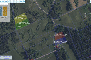 Działka na sprzedaż 7556m2 lidzbarski Lidzbark Warmiński Runowo - zdjęcie 2