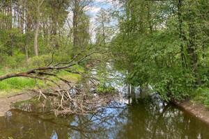 Działka na sprzedaż 800m2 łaski Sędziejowice Brzeski - zdjęcie 2