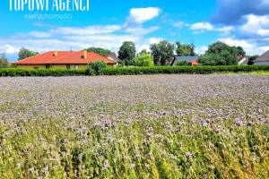 Działka na sprzedaż 1600m2 nowodworski Czosnów Łomna Jana Kochanowskiego - zdjęcie 2