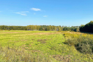 Działka na sprzedaż 58600m2 kozienicki Kozienice Chinów - zdjęcie 3