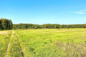 Działka na sprzedaż 58600m2 kozienicki Kozienice Chinów - zdjęcie 3